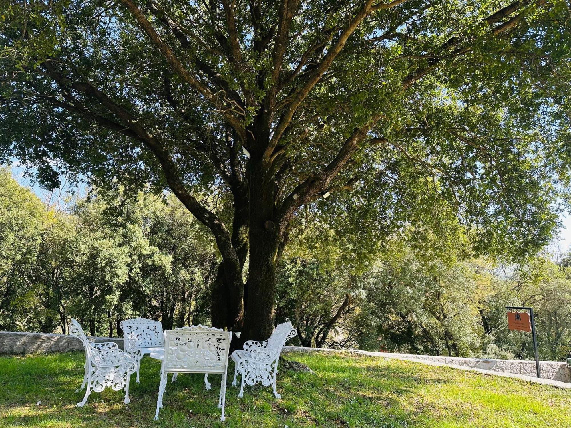 Panthoron Tzoumerka Vourgareli Dış mekan fotoğraf